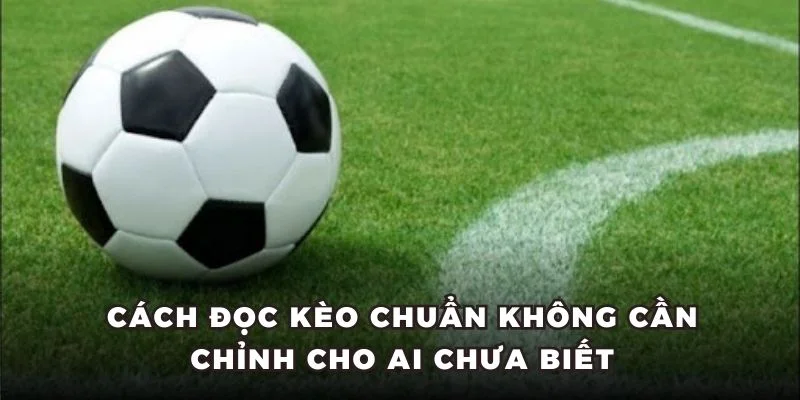 Cách đọc kèo chuẩn không cần chỉnh cho ai chưa biết